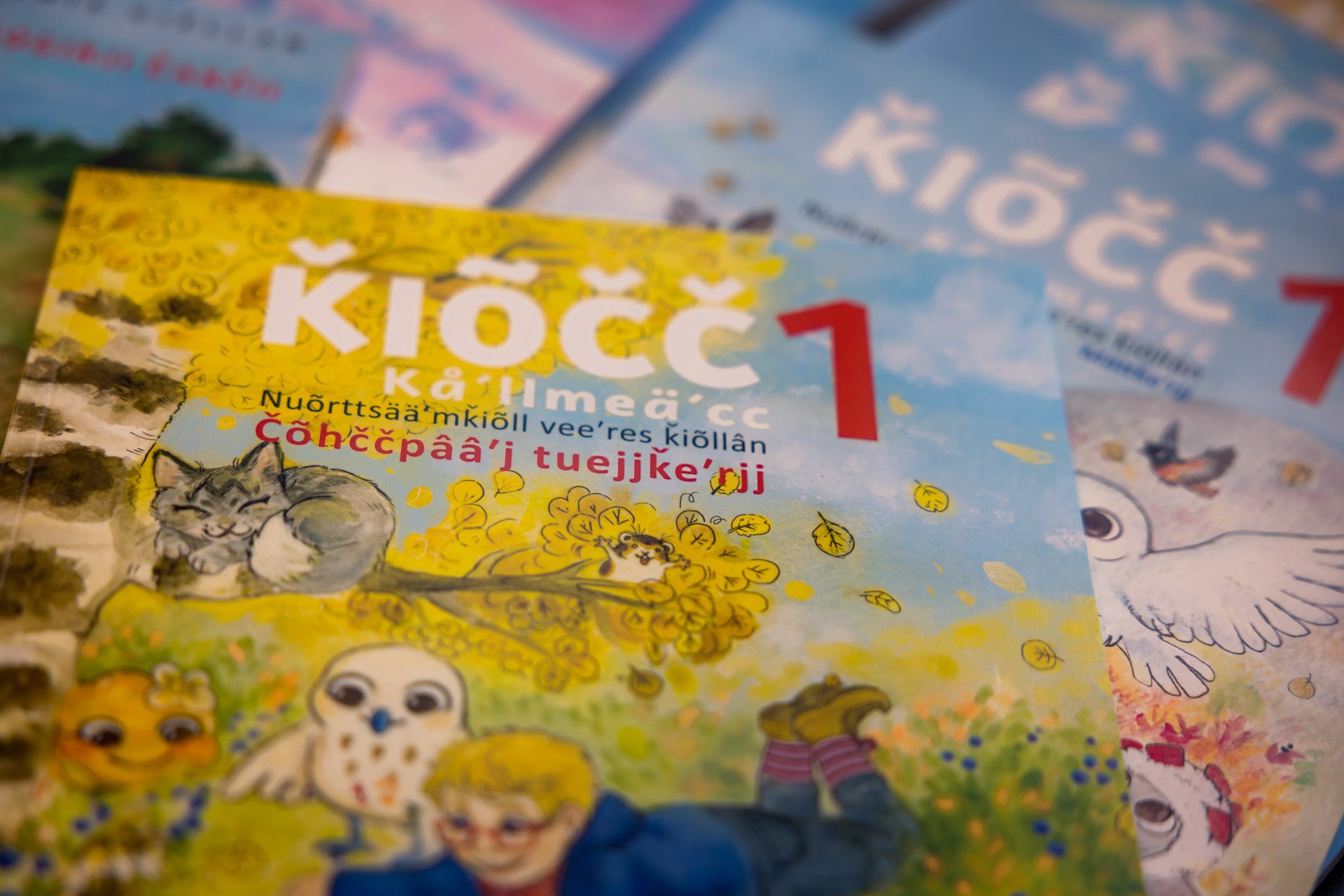 Saamelaisten kansallispäivä_Ville Fofonoff_Samediggi (10) Saamenkielisiä oppimateriaalikirjoja