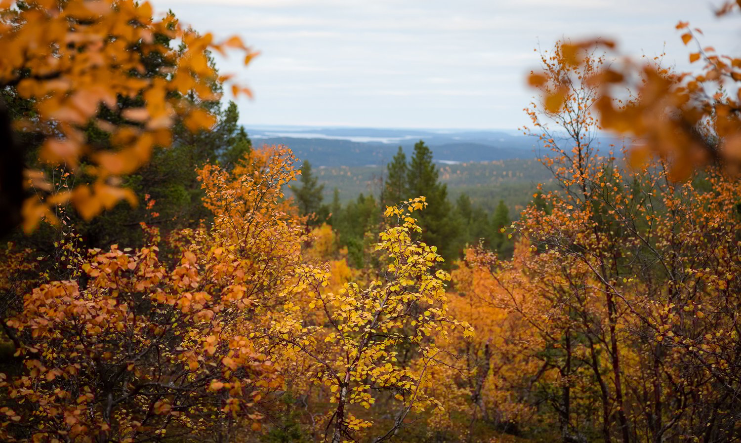 Syksy_kuva_Ville Fofonoff (1)