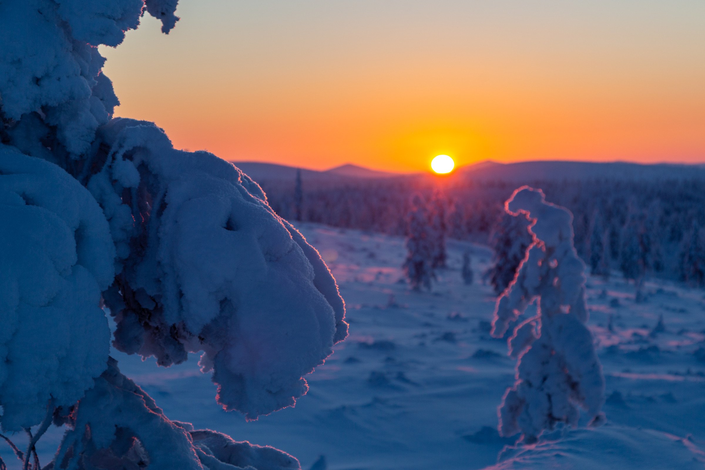 Luminen talvimaisema auringonlaskussa: etualalla paksun huurteen peittämiä puita ja taustalla matalalla hohtava oranssi auringonlasku sekä sinertävät lumiset tunturit.